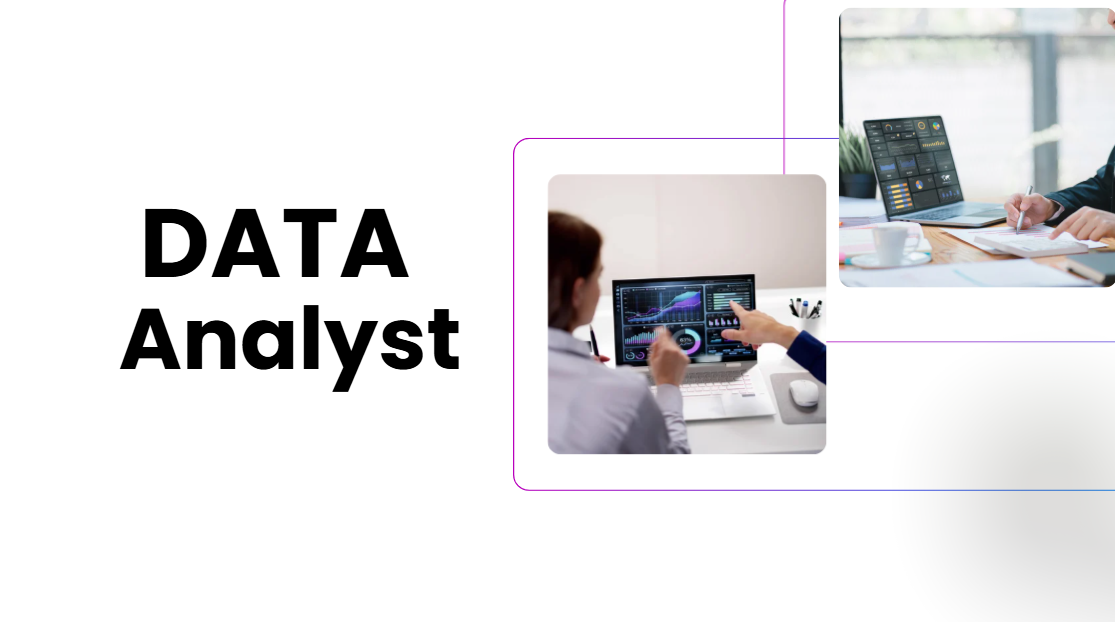 Data Analyst